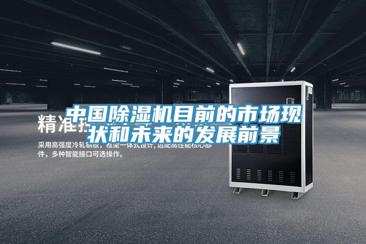 中國除濕機(jī)目前的市場(chǎng)現(xiàn)狀和未來的發(fā)展前景