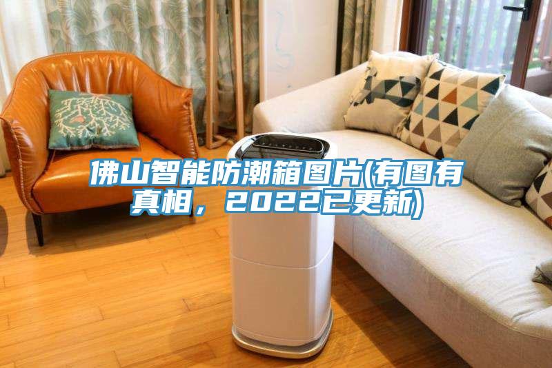 佛山智能防潮箱圖片(有圖有真相，2022已更新)