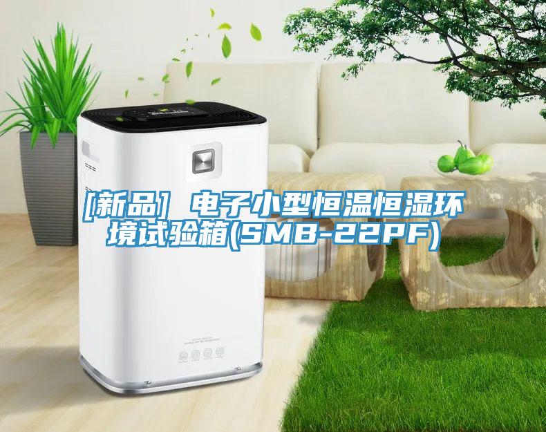 [新品] 電子小型恒溫恒濕環(huán)境試驗(yàn)箱(SMB-22PF)