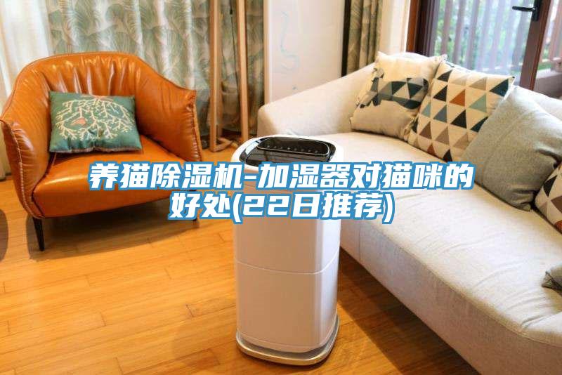 養(yǎng)貓除濕機(jī)-加濕器對(duì)貓咪的好處(22日推薦)