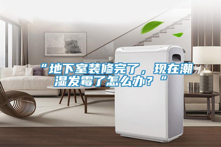 “地下室裝修完了，現(xiàn)在潮濕發(fā)霉了怎么辦？”