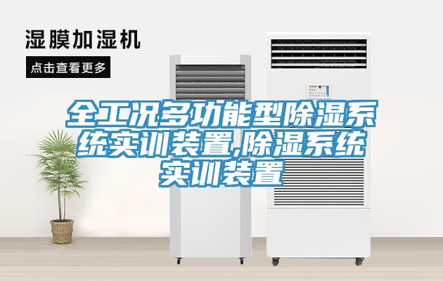 全工況多功能型除濕系統(tǒng)實(shí)訓(xùn)裝置,除濕系統(tǒng)實(shí)訓(xùn)裝置