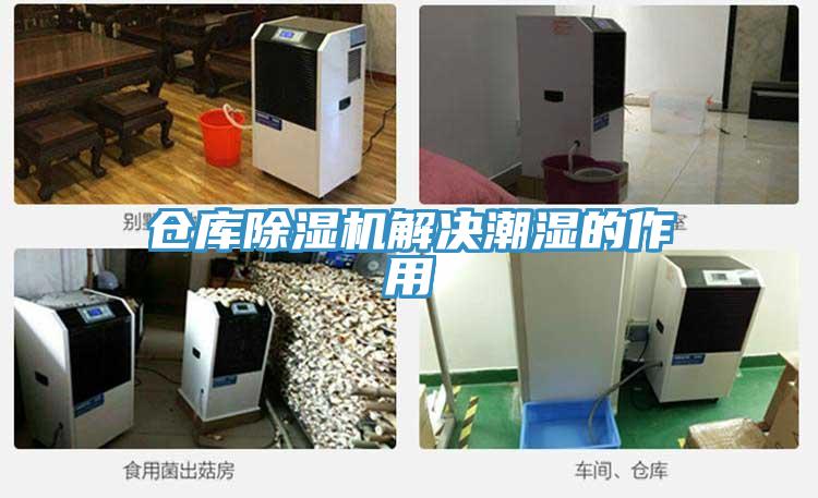 倉庫除濕機解決潮濕的作用
