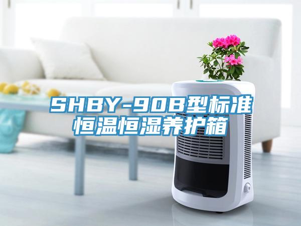 SHBY-90B型標(biāo)準(zhǔn)恒溫恒濕養(yǎng)護箱