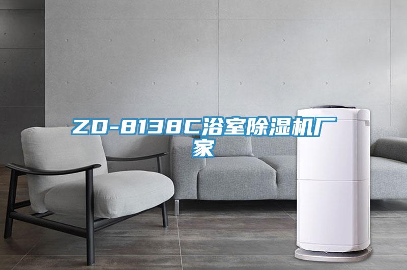 ZD-8138C浴室除濕機(jī)廠家