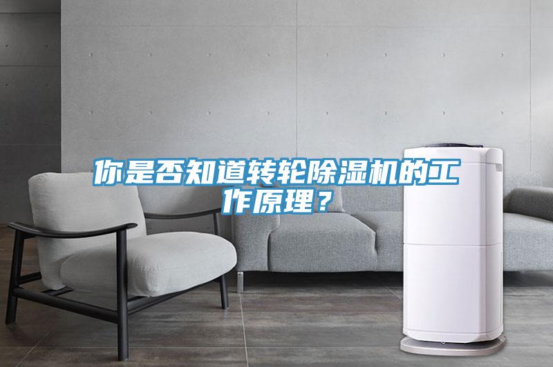你是否知道轉輪除濕機的工作原理？