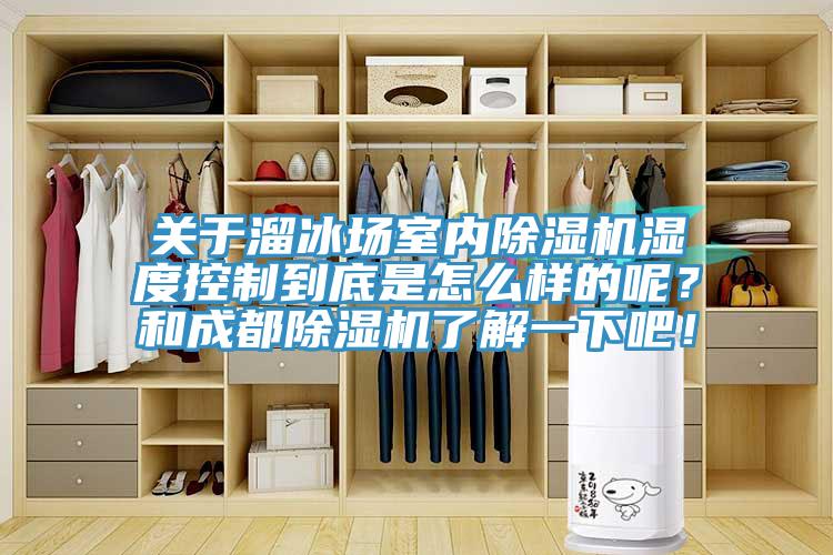 關(guān)于溜冰場室內(nèi)除濕機(jī)濕度控制到底是怎么樣的呢？和成都除濕機(jī)了解一下吧！