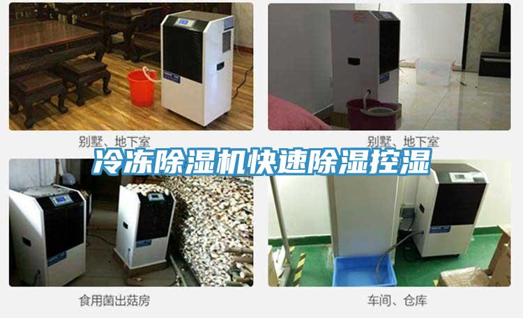 冷凍除濕機(jī)快速除濕控濕