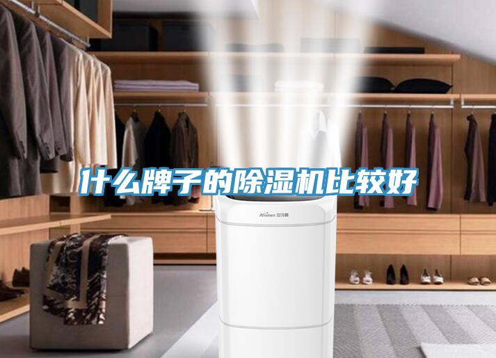 什么牌子的除濕機(jī)比較好