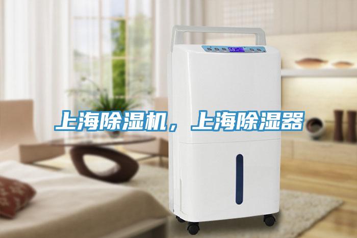 上海除濕機，上海除濕器