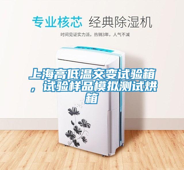 上海高低溫交變?cè)囼?yàn)箱，試驗(yàn)樣品模擬測(cè)試烘箱