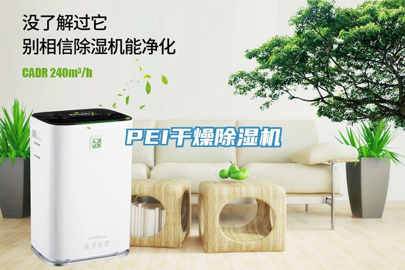 PEI干燥除濕機(jī)