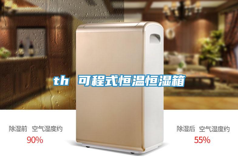 th 可程式恒溫恒濕箱
