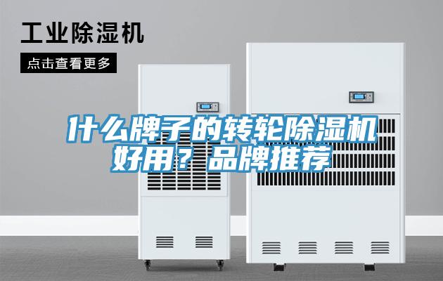 什么牌子的轉輪除濕機好用？品牌推薦