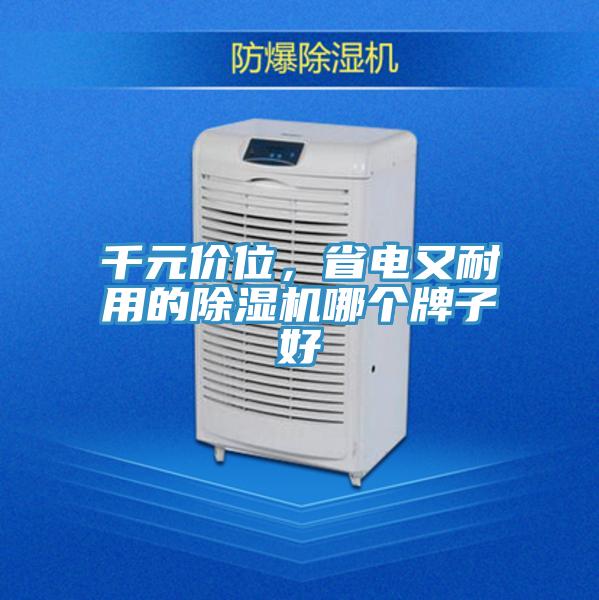 千元價(jià)位，省電又耐用的除濕機(jī)哪個(gè)牌子好