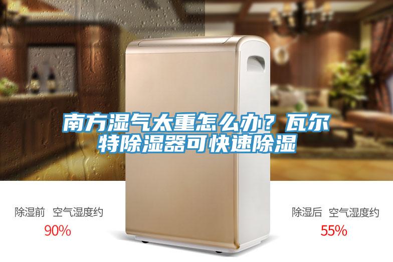 南方濕氣太重怎么辦？瓦爾特除濕器可快速除濕