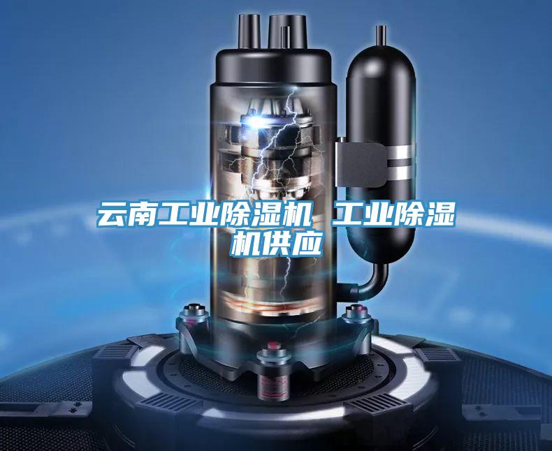 云南工業(yè)除濕機 工業(yè)除濕機供應