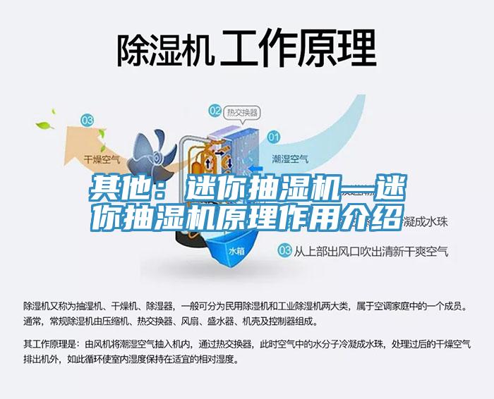 其他：迷你抽濕機(jī)—迷你抽濕機(jī)原理作用介紹