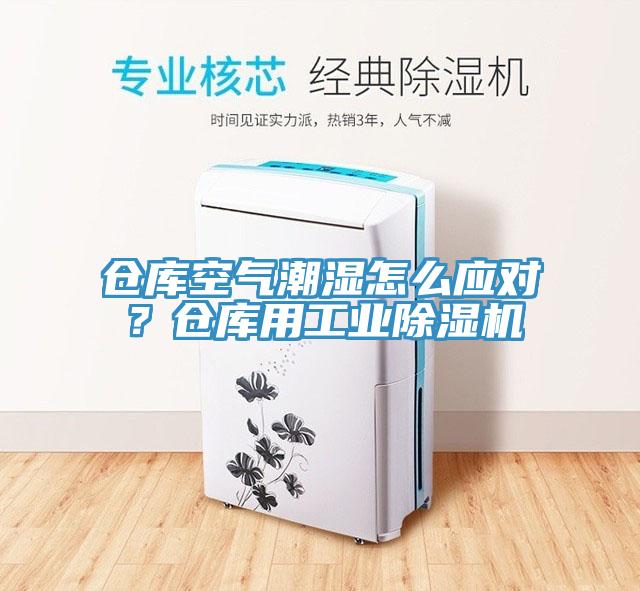 倉(cāng)庫(kù)空氣潮濕怎么應(yīng)對(duì)？倉(cāng)庫(kù)用工業(yè)除濕機(jī)