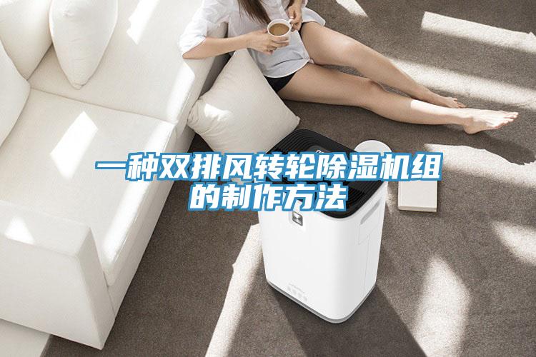 一種雙排風(fēng)轉(zhuǎn)輪除濕機(jī)組的制作方法