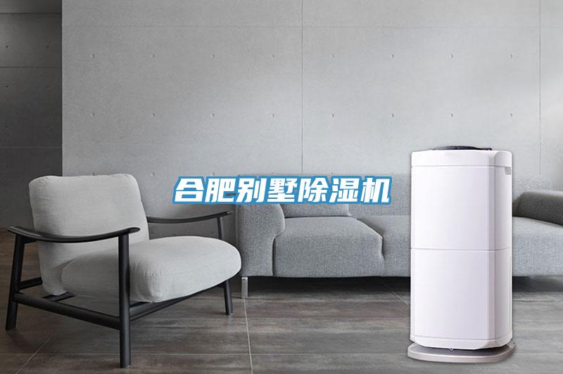 合肥別墅除濕機(jī)