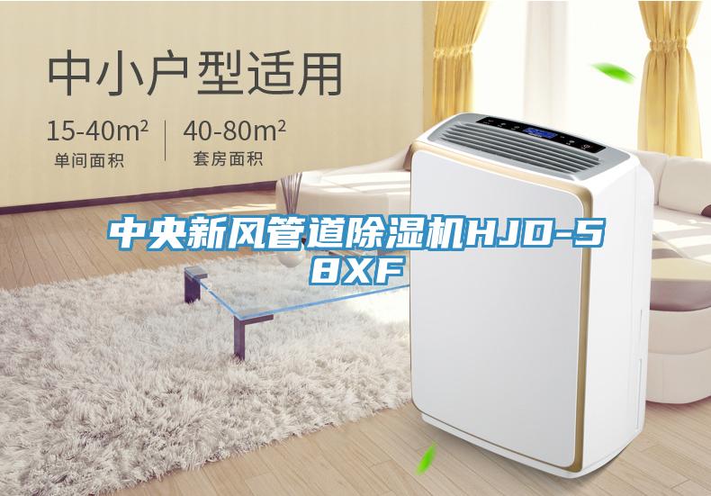 中央新風(fēng)管道除濕機HJD-58XF