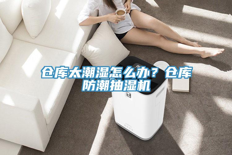 倉庫太潮濕怎么辦？倉庫防潮抽濕機(jī)