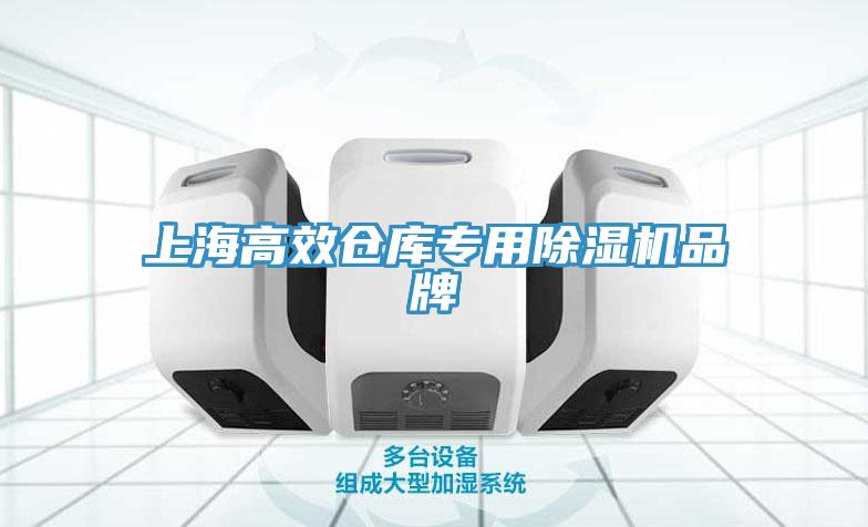 上海高效倉庫專用除濕機品牌