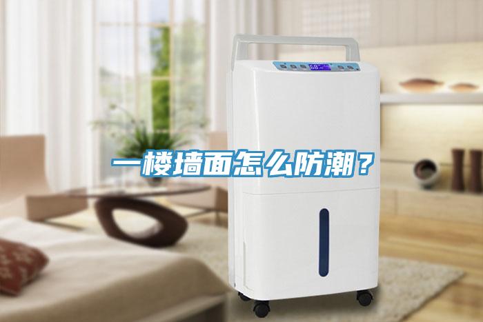 一樓墻面怎么防潮？