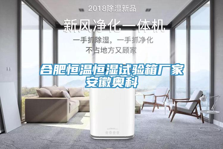 合肥恒溫恒濕試驗(yàn)箱廠家安徽奧科