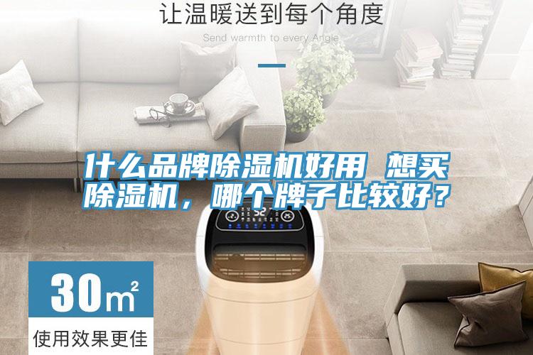 什么品牌除濕機好用 想買除濕機，哪個牌子比較好？