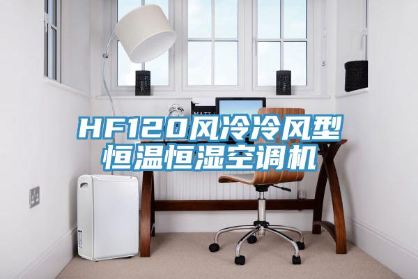 HF120風(fēng)冷冷風(fēng)型恒溫恒濕空調(diào)機(jī)