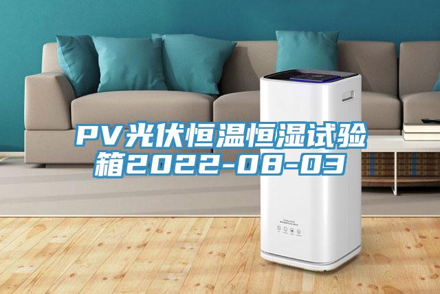 PV光伏恒溫恒濕試驗箱2022-08-03