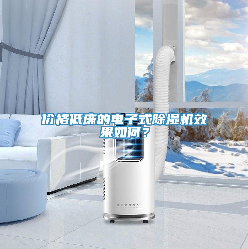 價格低廉的電子式除濕機效果如何？