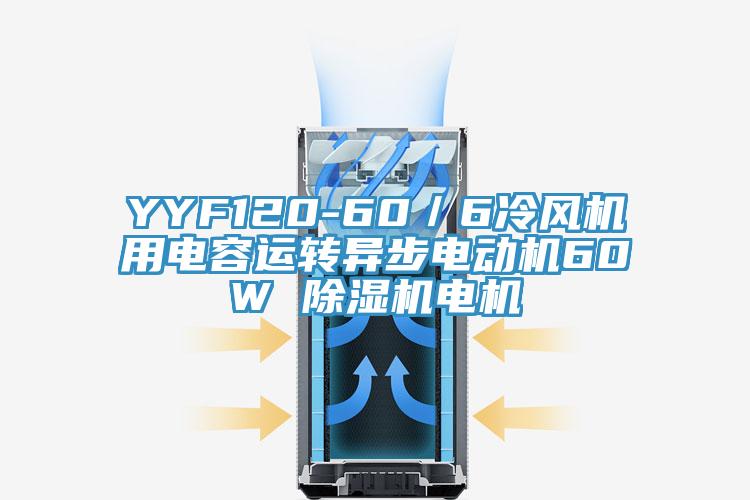 YYF120-60／6冷風(fēng)機(jī)用電容運轉(zhuǎn)異步電動機(jī)60W 除濕機(jī)電機(jī)