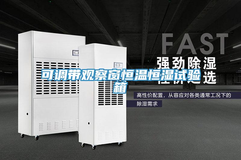 可調帶觀察窗恒溫恒濕試驗箱