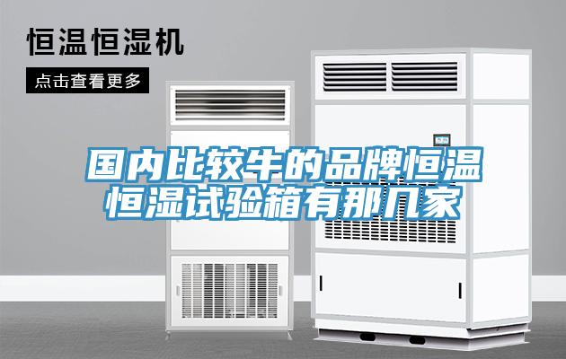 國內比較牛的品牌恒溫恒濕試驗箱有那幾家