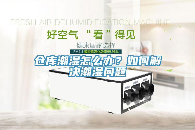 倉庫潮濕怎么辦？如何解決潮濕問題