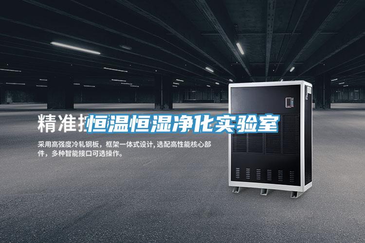 恒溫恒濕凈化實(shí)驗(yàn)室