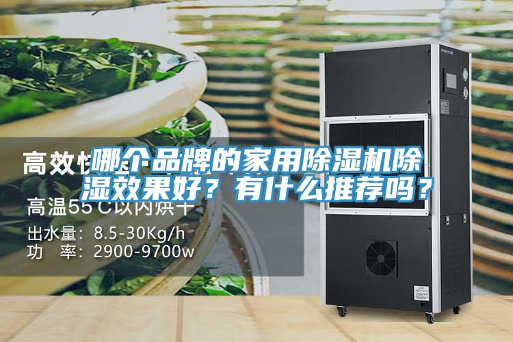哪個品牌的家用除濕機除濕效果好？有什么推薦嗎？
