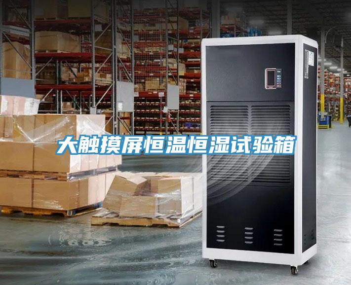大觸摸屏恒溫恒濕試驗箱