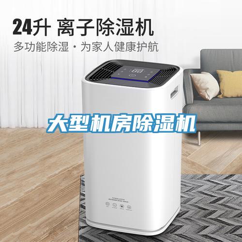 大型機(jī)房除濕機(jī)