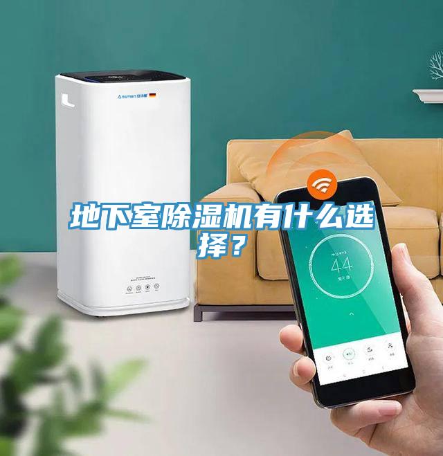 地下室除濕機(jī)有什么選擇？