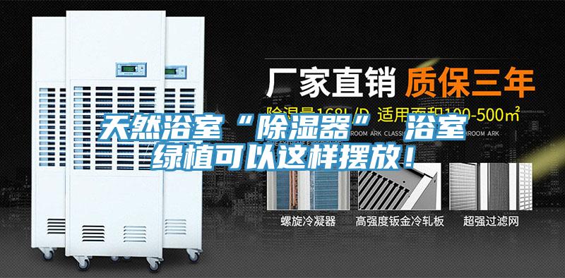 天然浴室“除濕器” 浴室綠植可以這樣擺放！