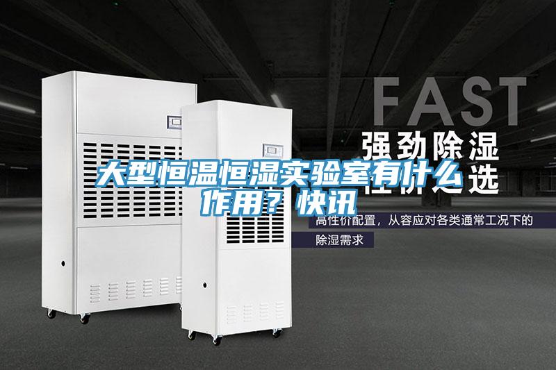 大型恒溫恒濕實(shí)驗(yàn)室有什么作用？快訊