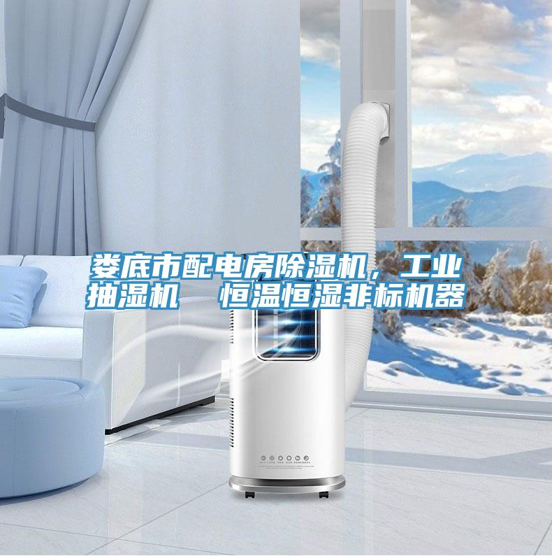 婁底市配電房除濕機(jī)，工業(yè)抽濕機(jī)  恒溫恒濕非標(biāo)機(jī)器