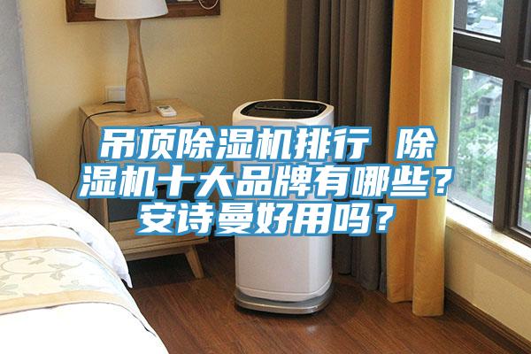 吊頂除濕機排行 除濕機十大品牌有哪些？安詩曼好用嗎？