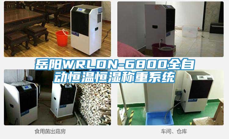 岳陽WRLDN-6800全自動恒溫恒濕稱重系統(tǒng)