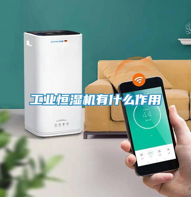 工業(yè)恒濕機(jī)有什么作用