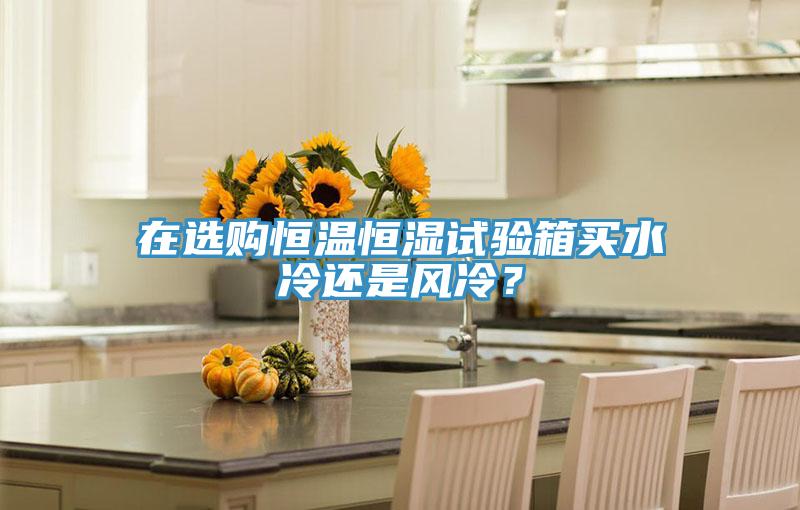 在選購恒溫恒濕試驗(yàn)箱買水冷還是風(fēng)冷？